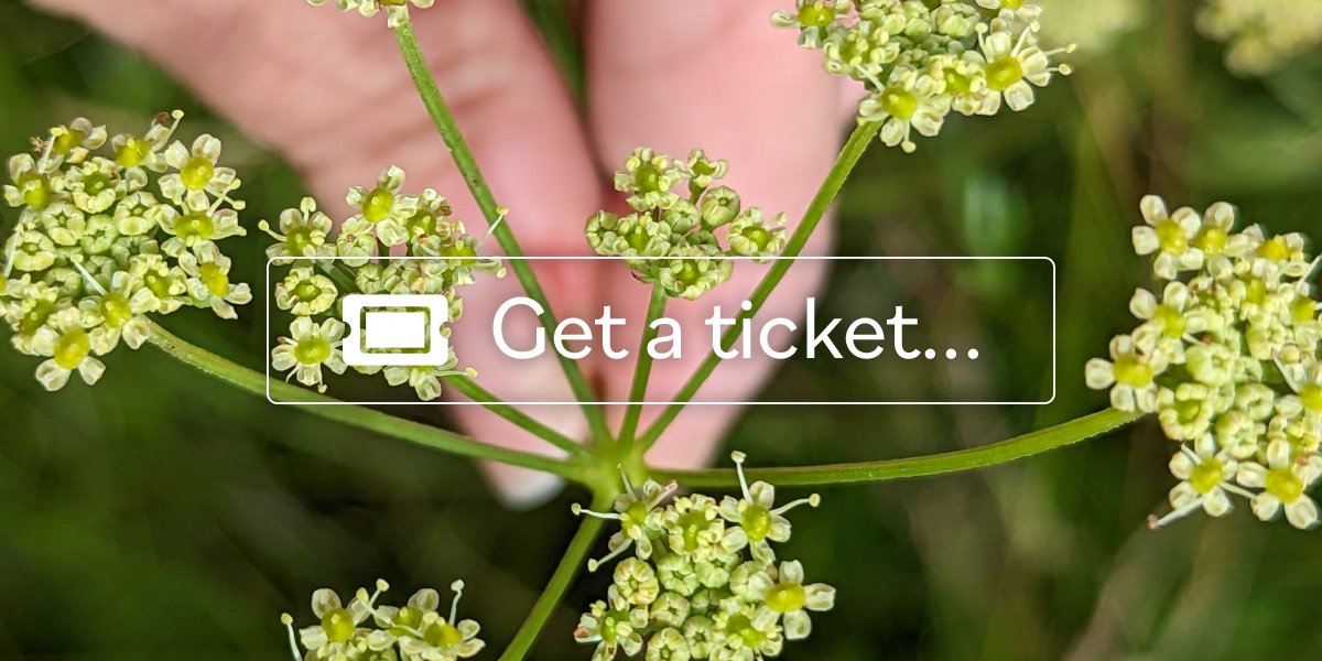 Local Botany Becoming 'familiar' with botany - exploring five plant families.