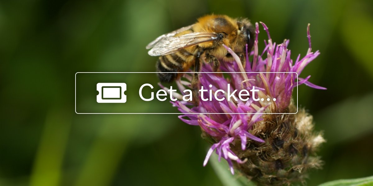 Meadow Management for Pollinators: Walk and Talk